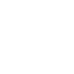 OpusX society